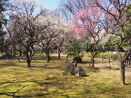 小石川後楽園