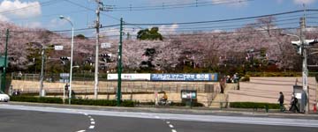 飛鳥山公園