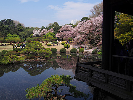 台湾閣から日本庭園