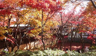 本土寺