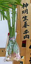 siba11