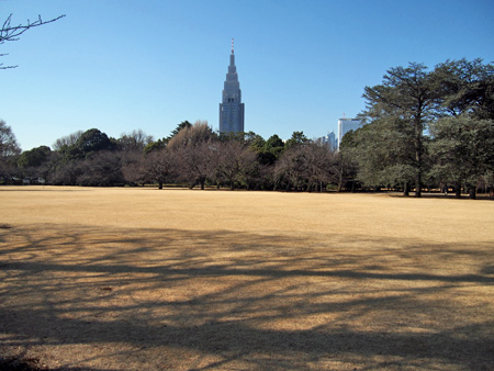 新宿御苑
