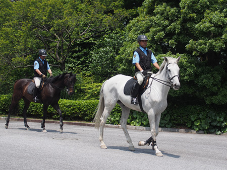 皇居警察騎馬隊