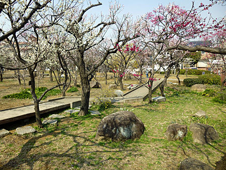 大谷田公園
