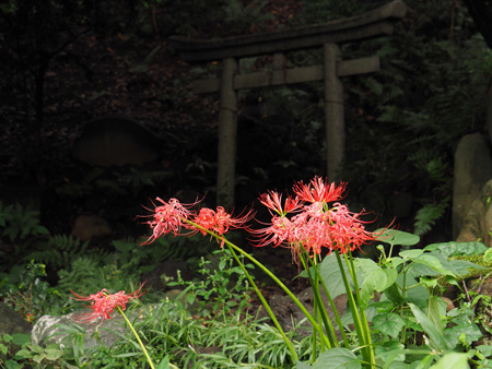 鳥居