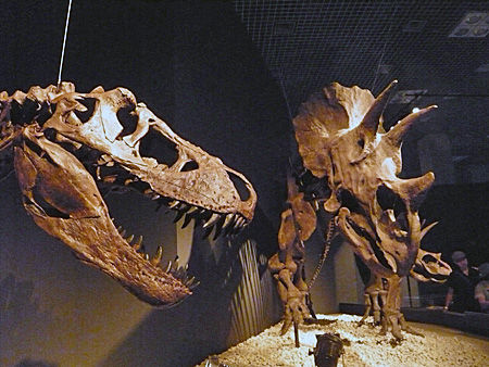 T-rex2