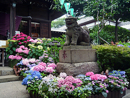 白山神社狛犬