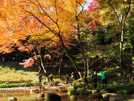 大堰川