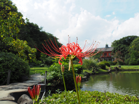 日本庭園