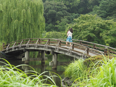 上の池