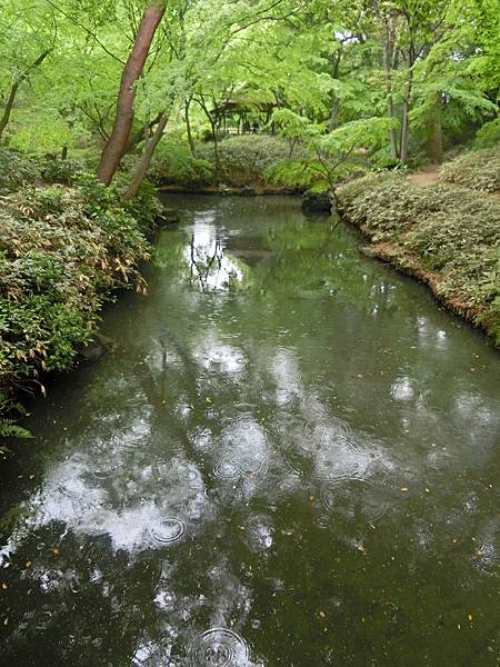 山陰橋から