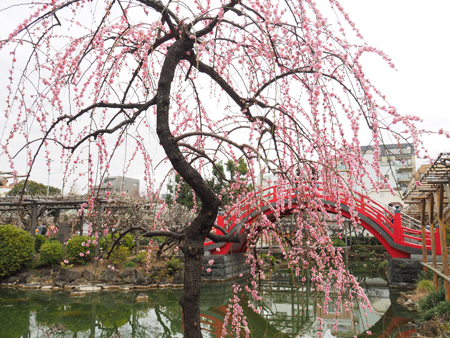 太鼓橋
