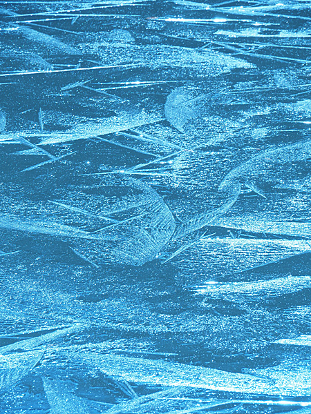 池の氷