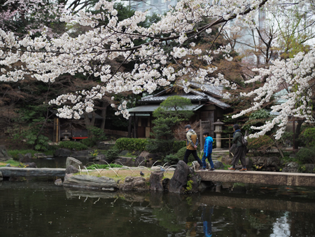 庭園
