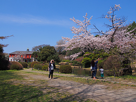 日本庭園