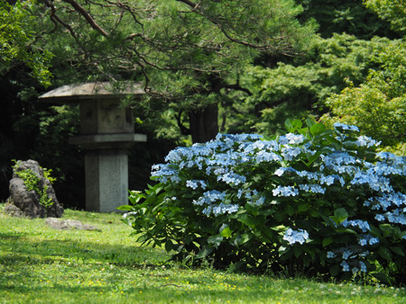 浜離宮庭園