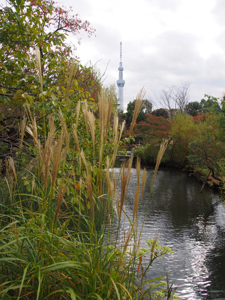 向島百花園