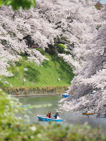 千鳥ヶ淵