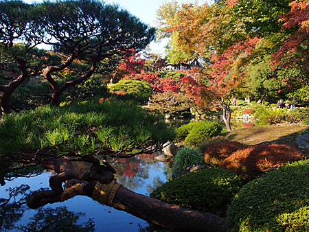 古河庭園