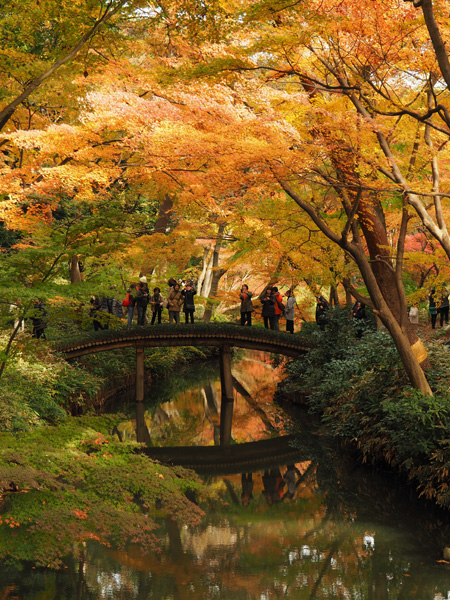山陰橋