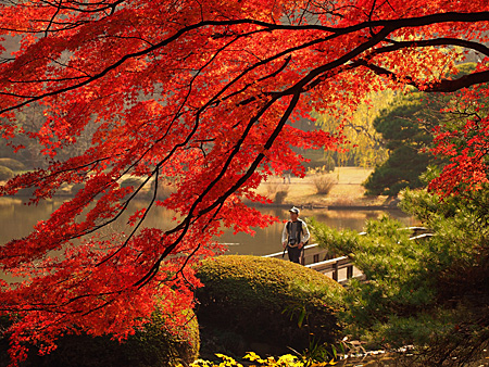 上の池