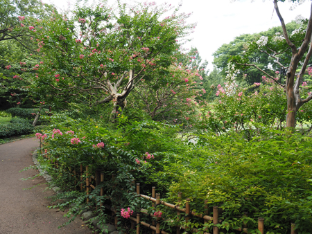 二の丸庭園