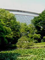 東京ドーム