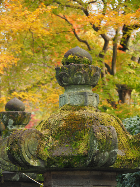 上野東照宮の参道
