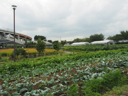 都市農業公園