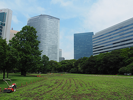 浜離宮庭園