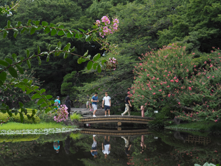 二の丸庭園