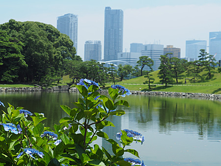 浜離宮庭園