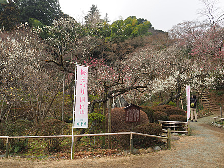 京王百草園
