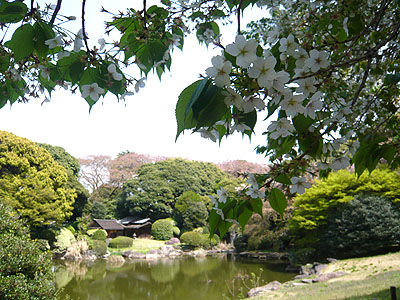 国立博物館