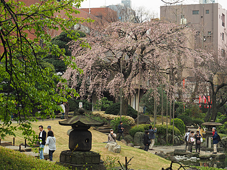 伝法院