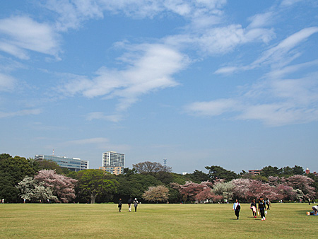 芝生