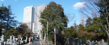 雑司ヶ谷霊園