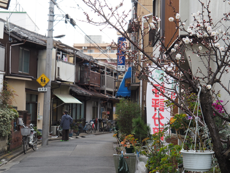 京島の路地
