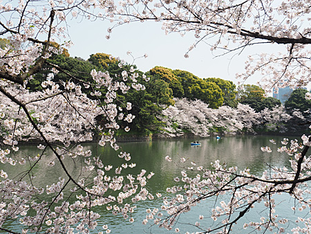 千鳥ヶ淵
