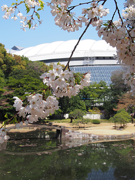 東京ドーム