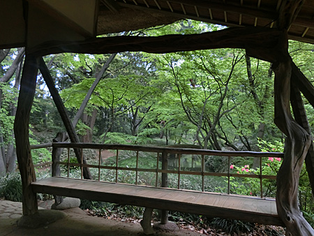 つつじ茶屋