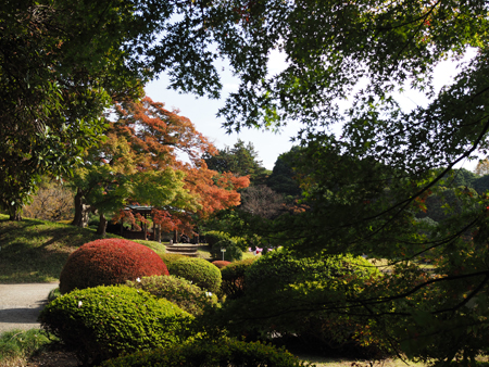 上の池