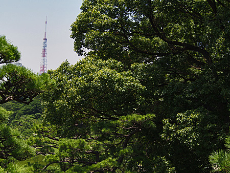 東京タワー