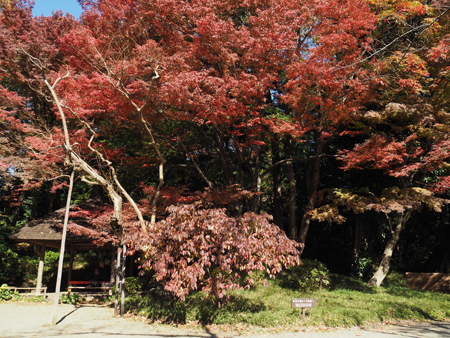 丸屋