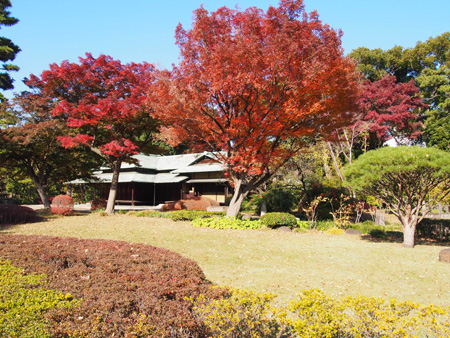 皇居