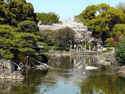 隅田公園