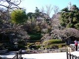 長谷寺