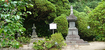 安養院