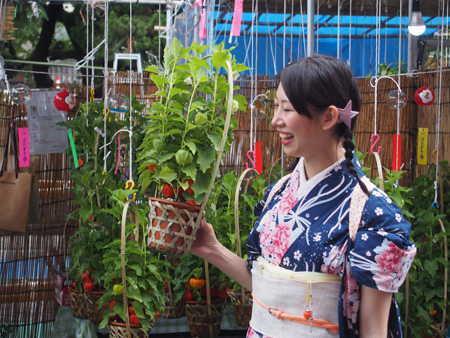ほおずき市