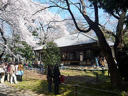 niwa4
